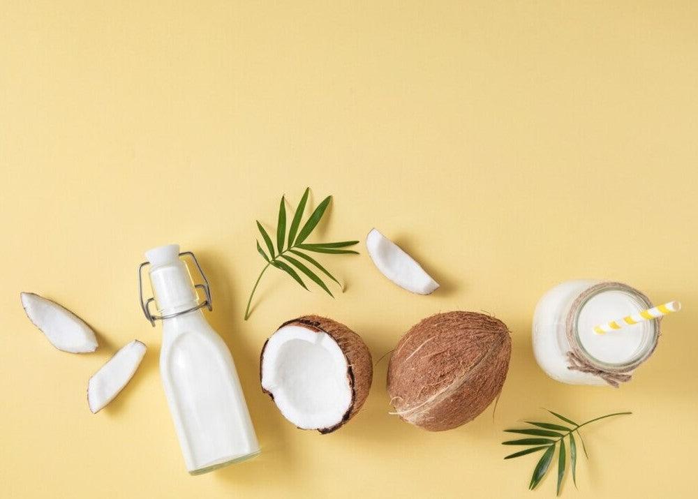 Macam-Macam Olahan Kelapa Mulai Dari Minyak Sampai Makanan – Tasty