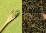 Matcha vs Green Tea: Mana yang Lebih Baik?